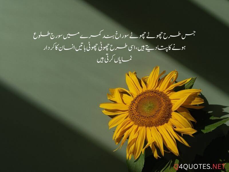 Best Life Quotes In Urdu