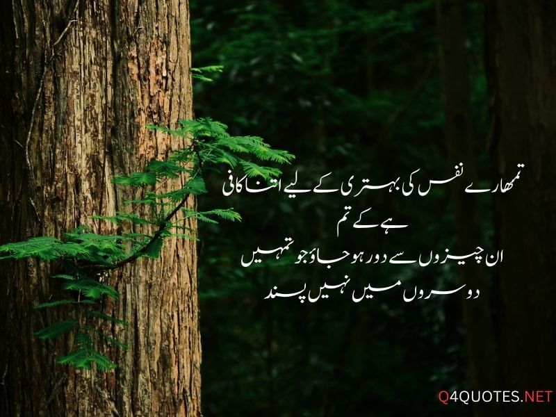 Sad Quotes In Urdu