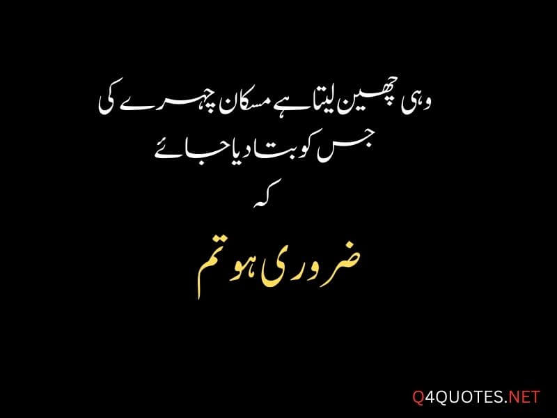 25+ Love Quotes and Poetry In Urdu