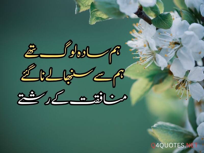 25+ Love Quotes and Poetry In Urdu
