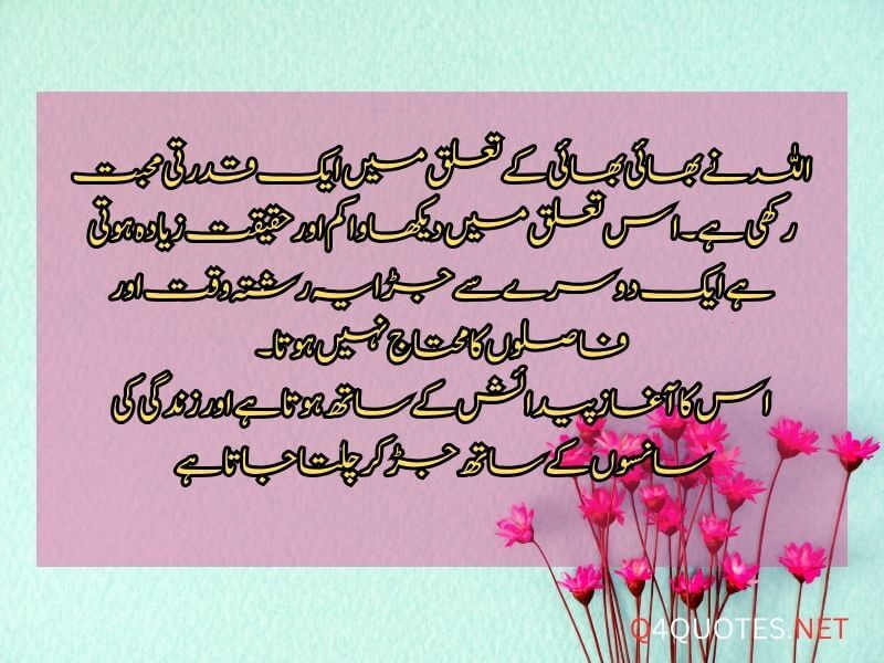Elder Brother Quotes In Urdu