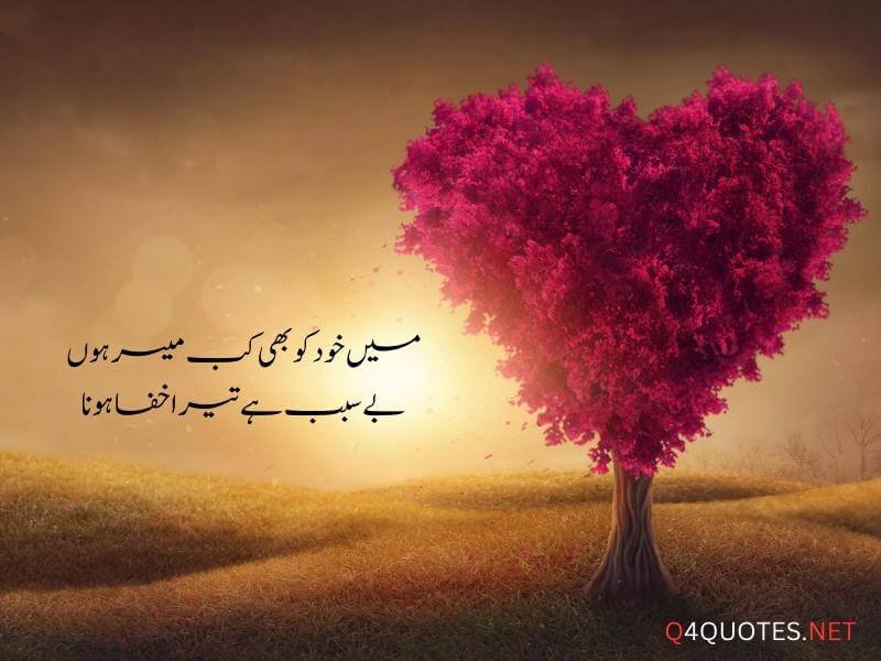 Good Night Quotes In Urdu