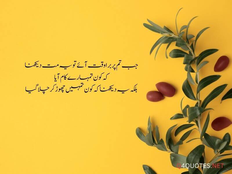 Best Life Quotes In Urdu For You