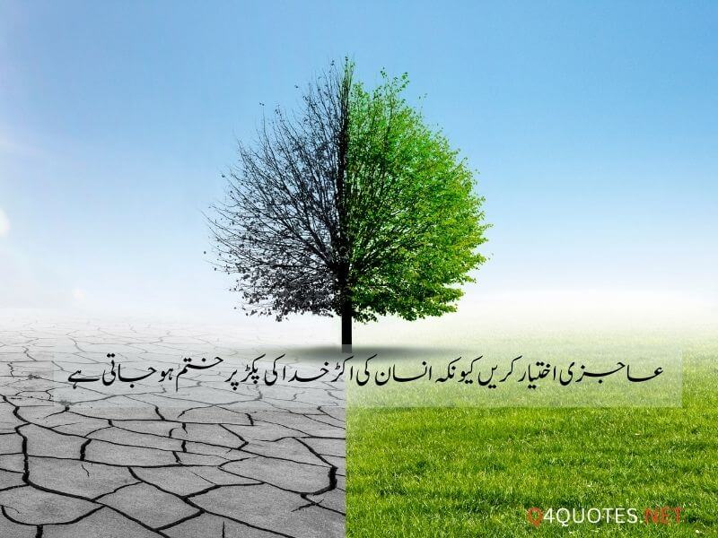 Best Islamic Quotes In Urdu