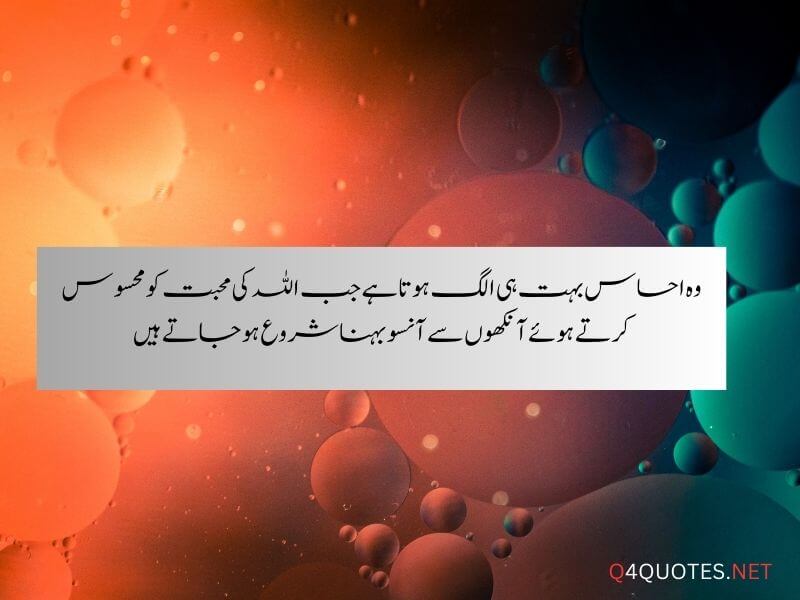 2 Lines Islamic quotes In Urdu