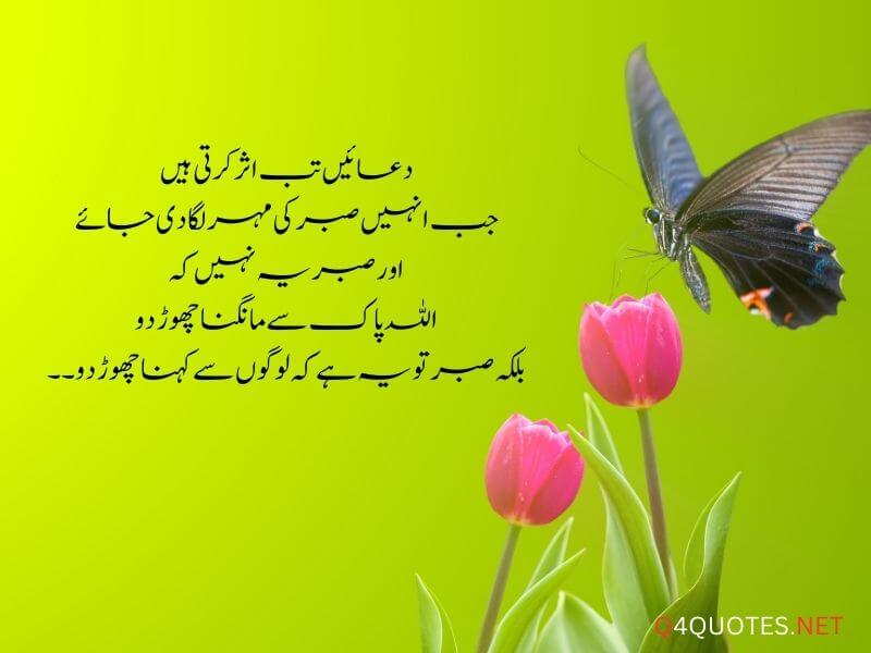  Sabar Islamic Quotes In Urdu