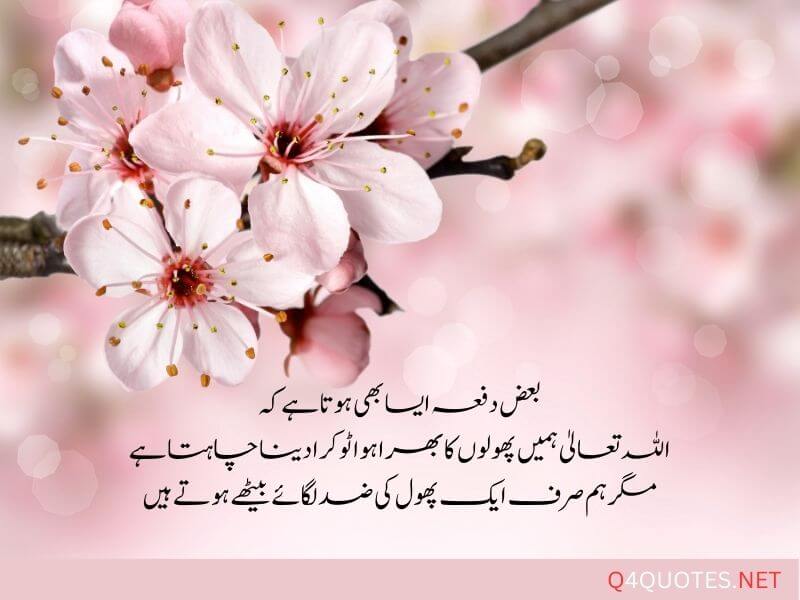 Beautiful Islamic Quotes In Urdu