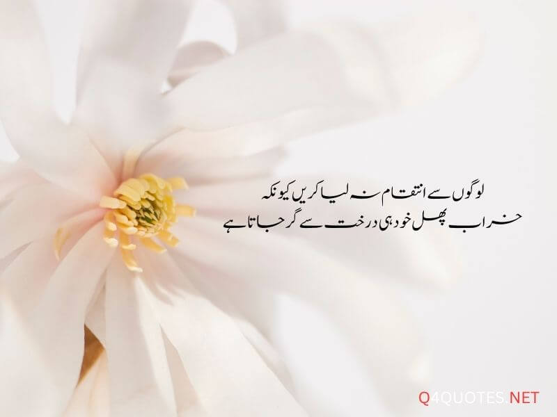Urdu Quotes About Life