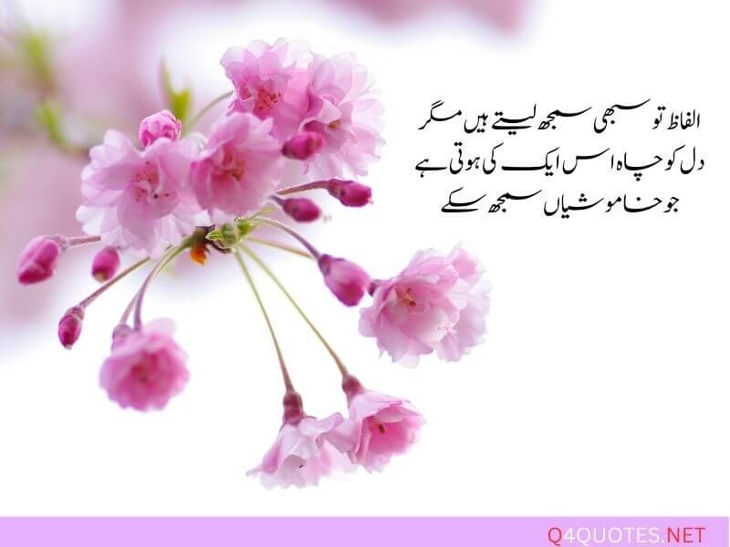 Beautiful Life Quotes In Urdu