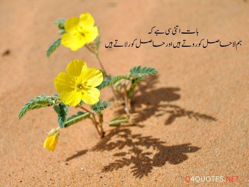 2 Lines Life Quotes In Urdu