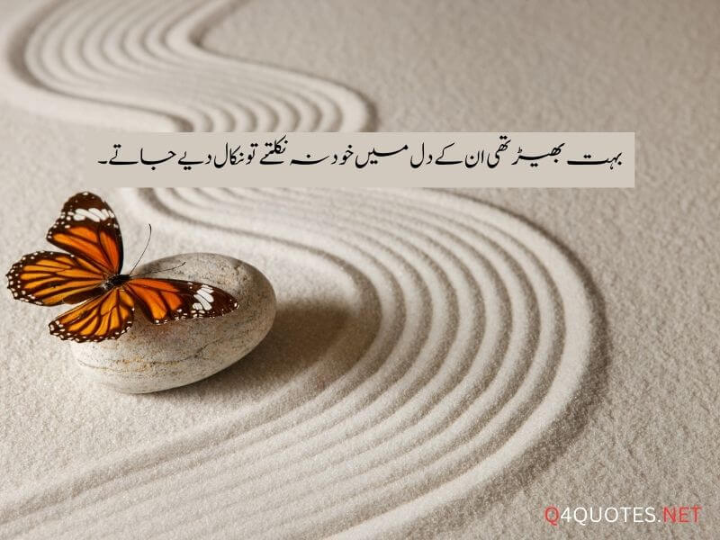 One Line Quotes In Urdu