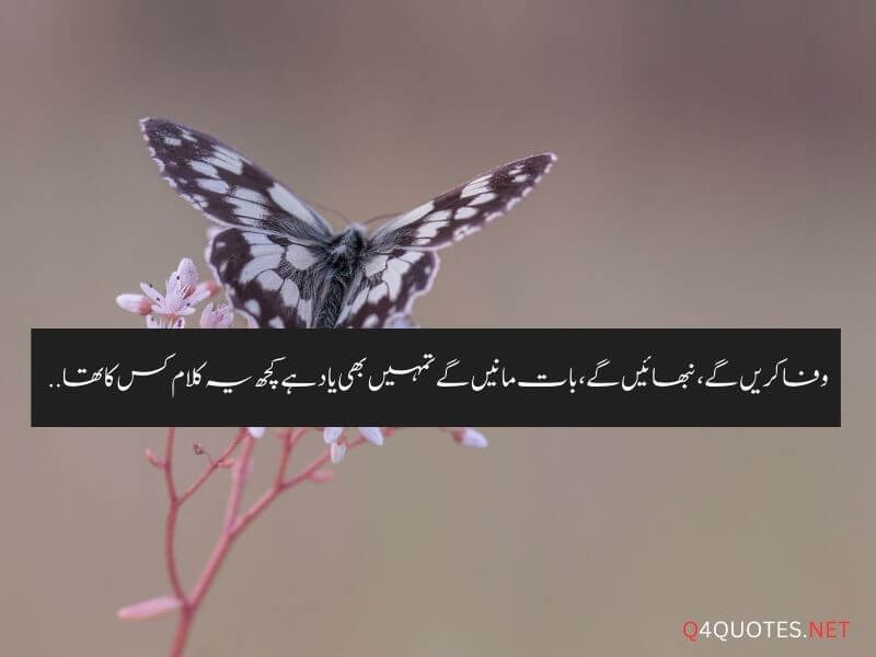 One Line Quotes In Urdu