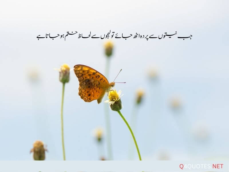 One Line Quotes In Urdu