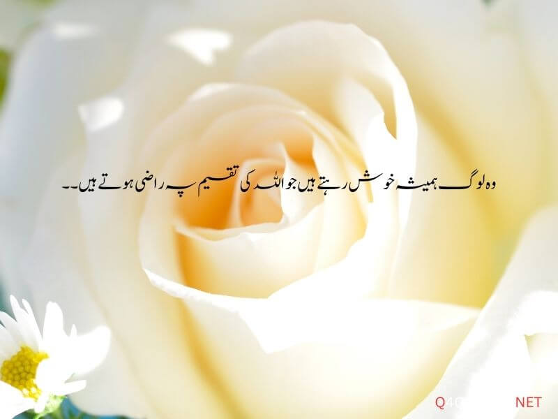 One Line Quotes In Urdu