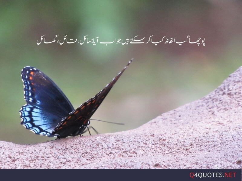 One Line Quotes In Urdu