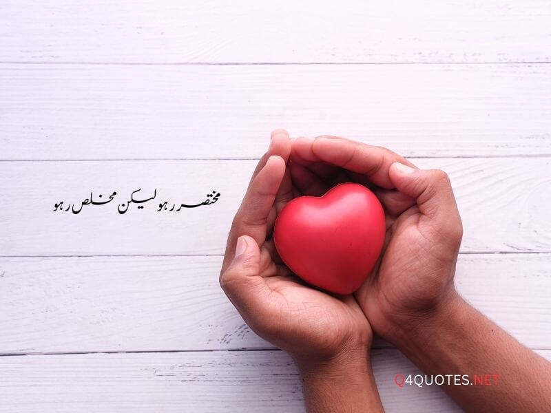 One Line Quotes in Urdu