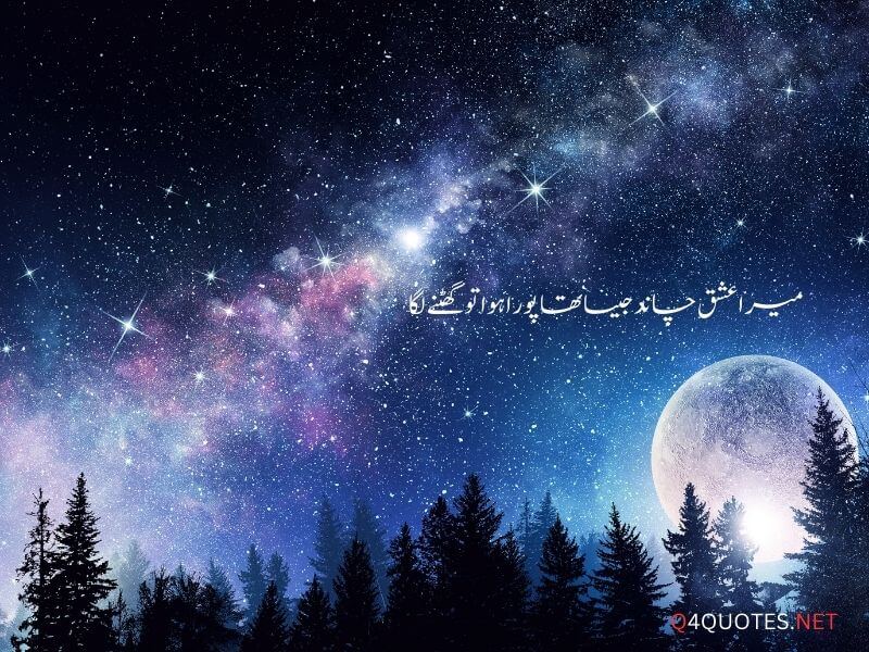 One Line Quotes in Urdu