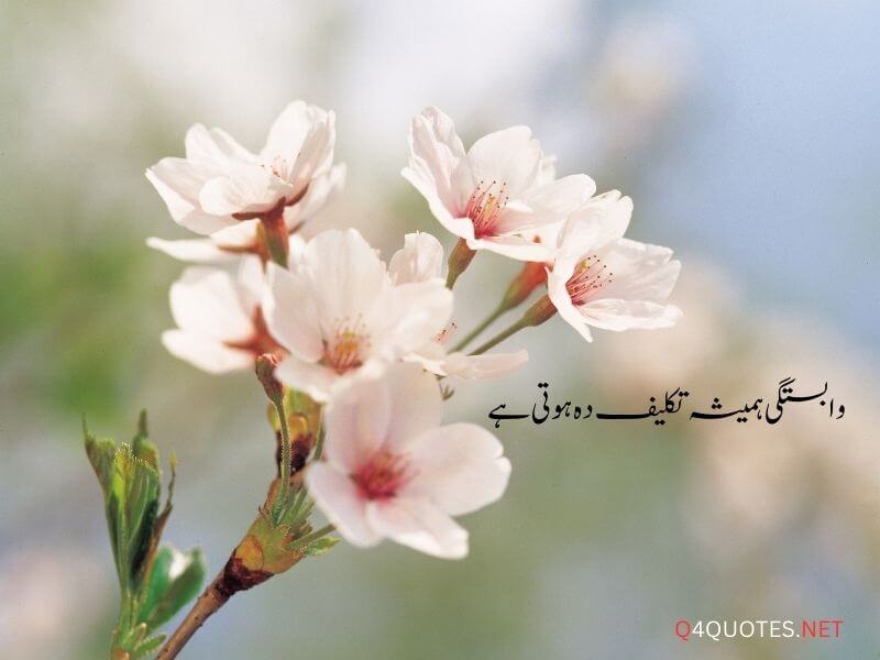 One Line Quotes in Urdu