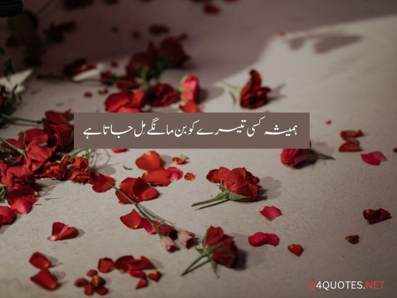 One Line Quotes in Urdu