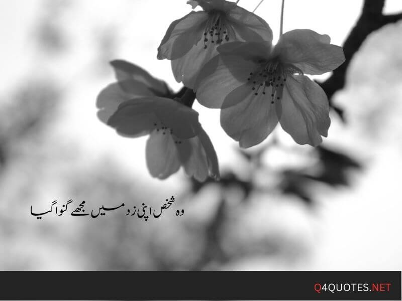 One Line Quotes in Urdu