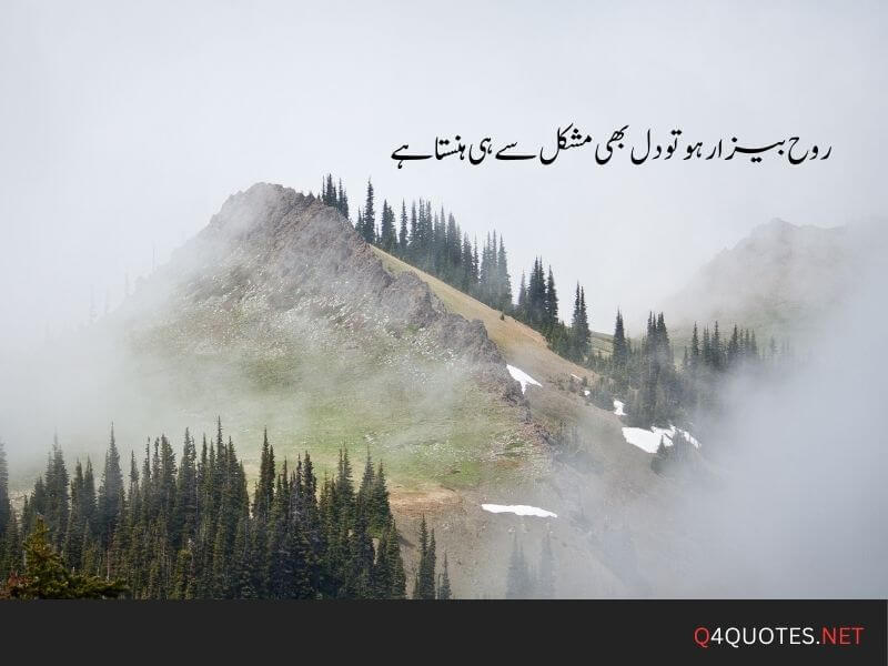 Heartfelt Urdu Quotes That Inspire