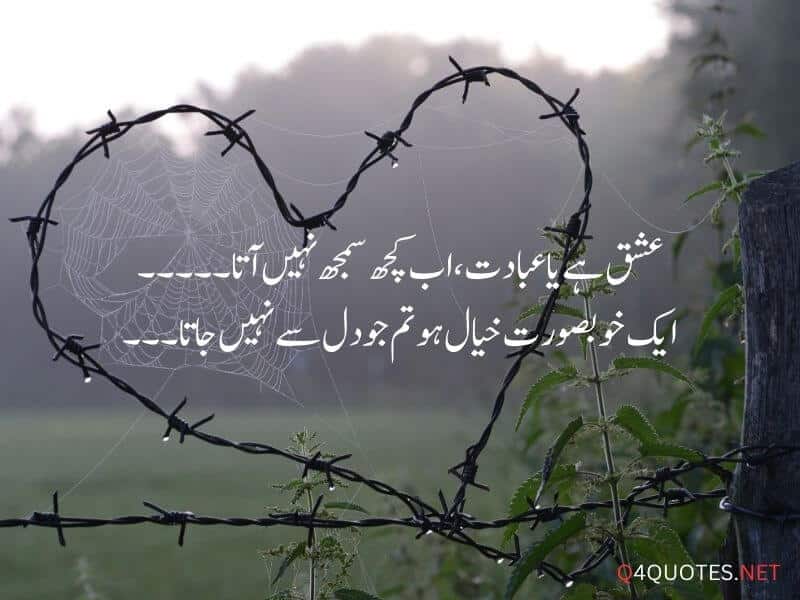 Sad Love Quotes in Urdu