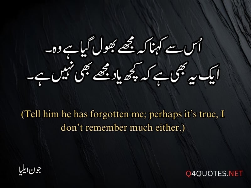 Jaun Elia Quotes in Urdu