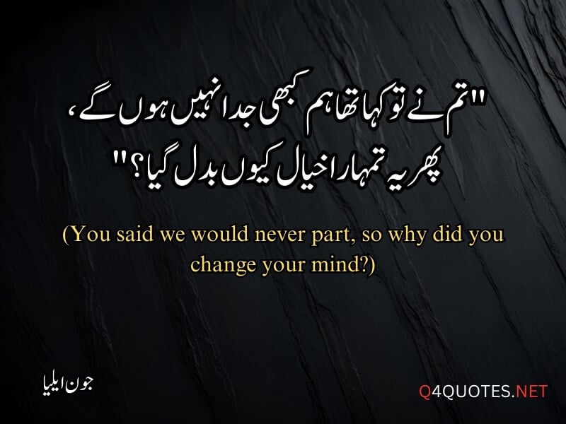 Jaun Elia Quotes in Urdu