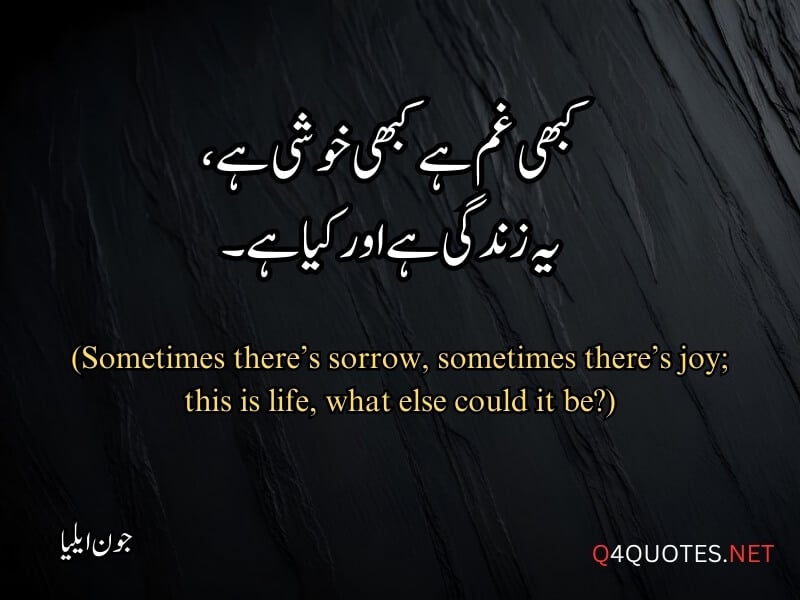 Jaun Elia Quotes in Urdu