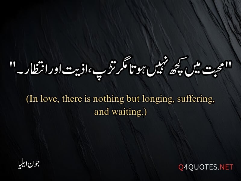 Jaun Elia Quotes in Urdu