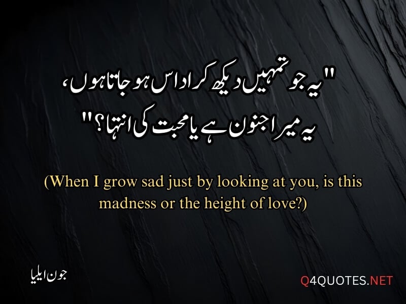 Jaun Elia Quotes in Urdu