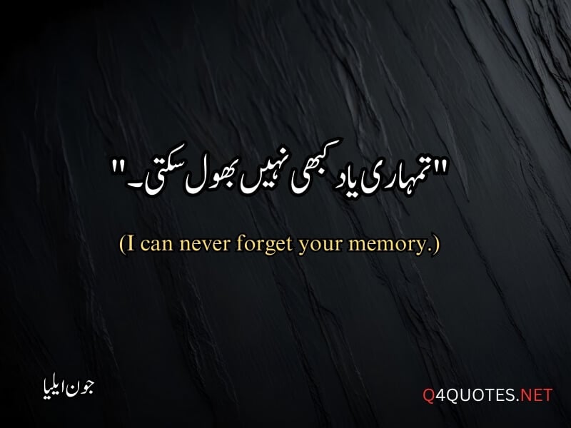 Jaun Elia Quotes in Urdu