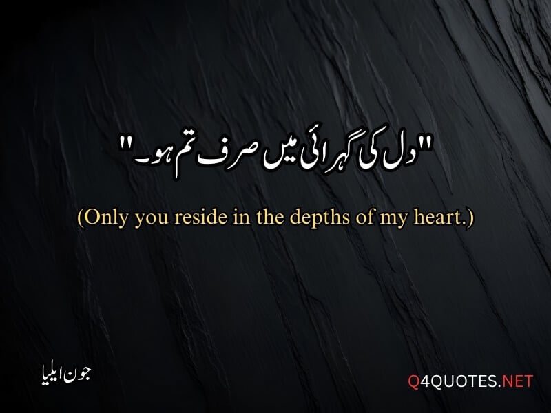 Jaun Elia Quotes in Urdu