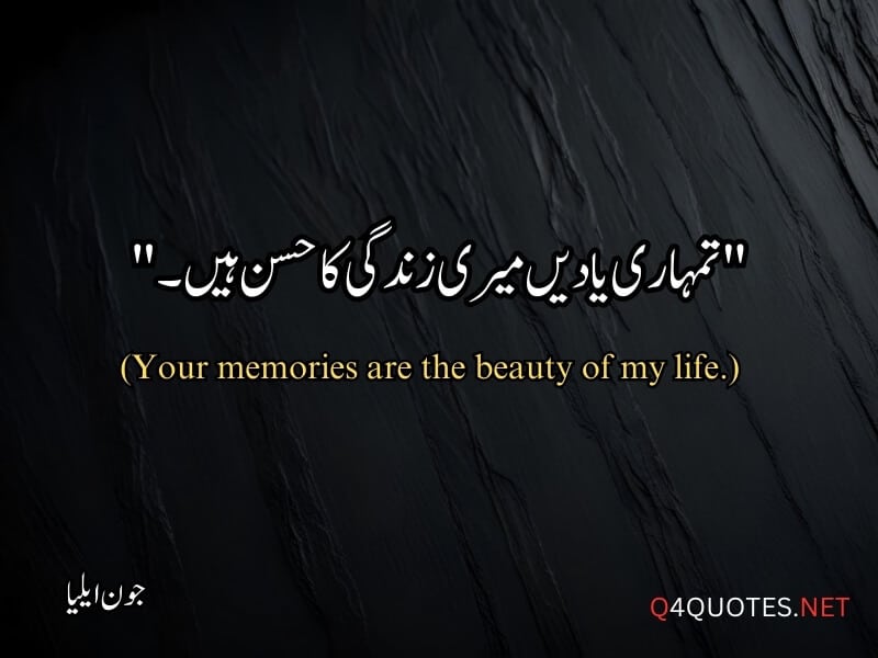 Jaun Elia Quotes in Urdu