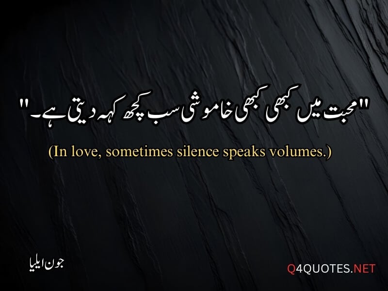 Jaun Elia Quotes in Urdu