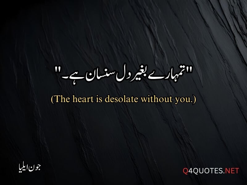 Jaun Elia Quotes in Urdu