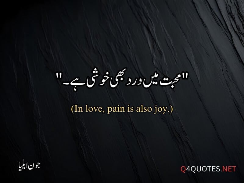 Jaun Elia Quotes in Urdu