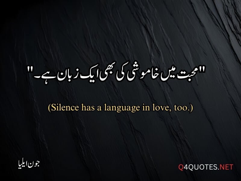 Jaun Elia Quotes in Urdu