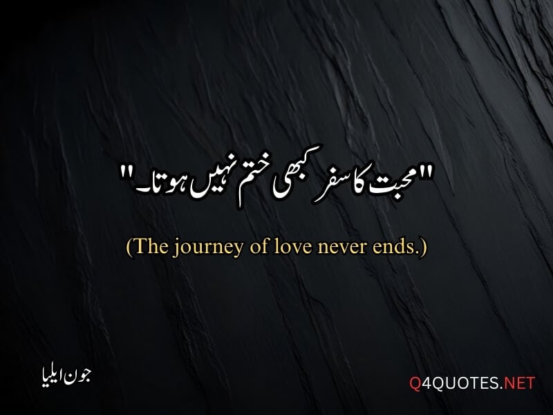 Jaun Elia Quotes in Urdu