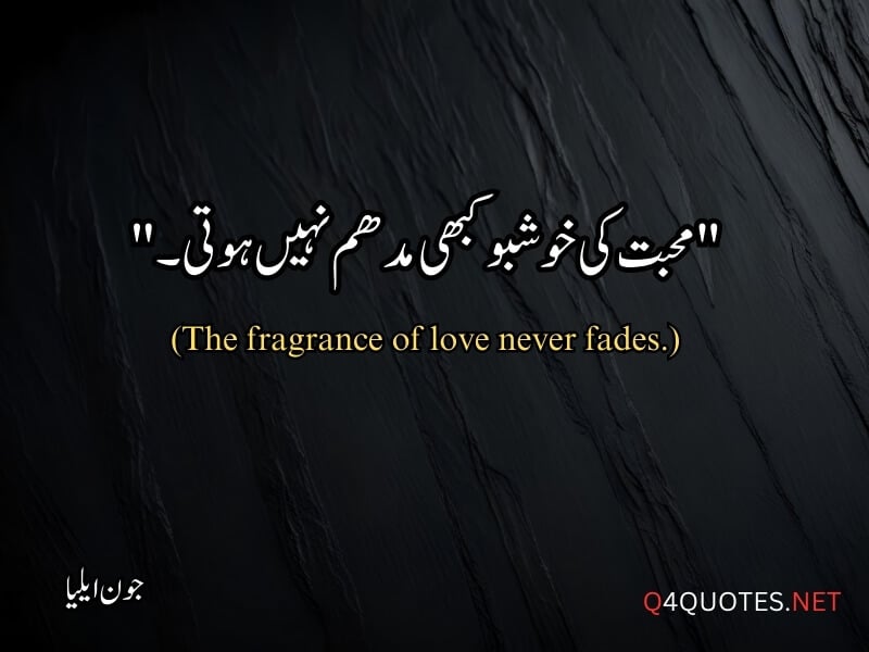 Jaun Elia Quotes in Urdu