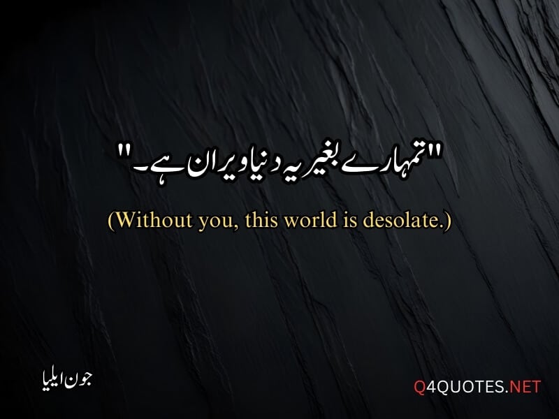 Jaun Elia Quotes in Urdu