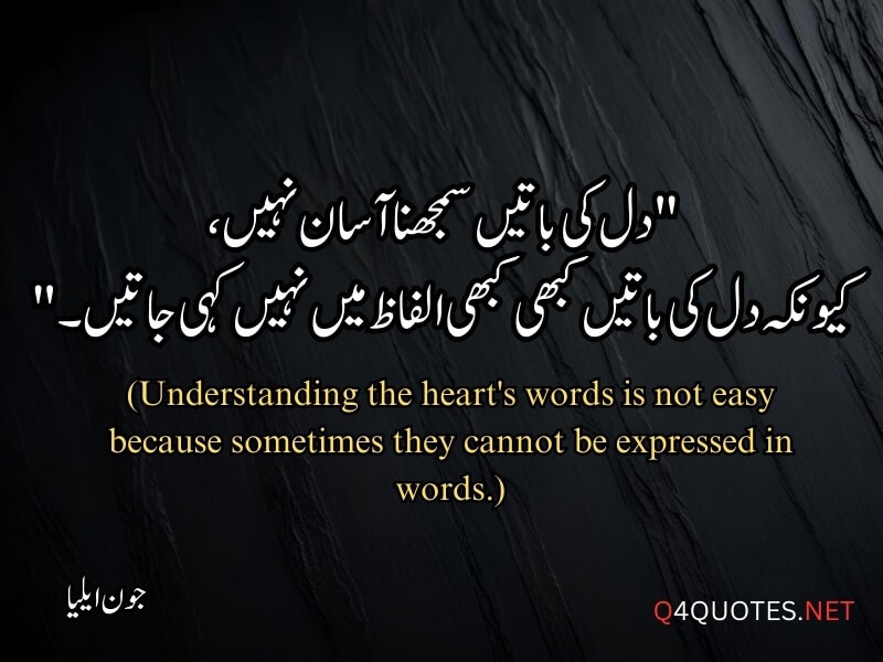 Jaun Elia Quotes in Urdu