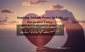 Attitude Poetry In Urdu