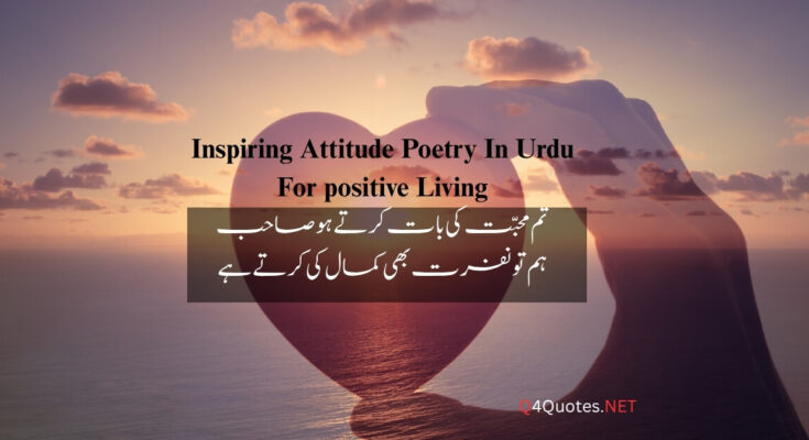 Attitude Poetry In Urdu