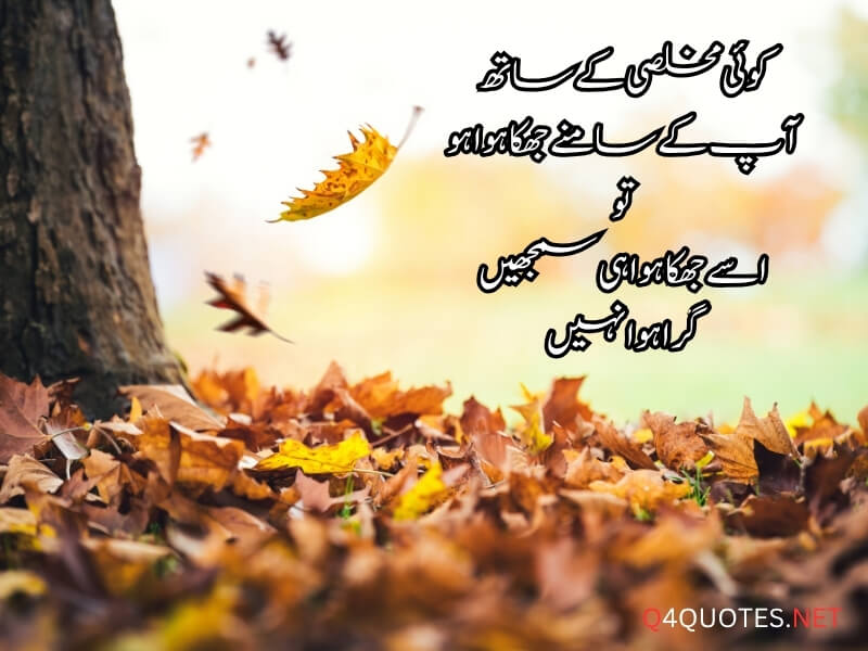 Deep Quotes On Life In Urdu