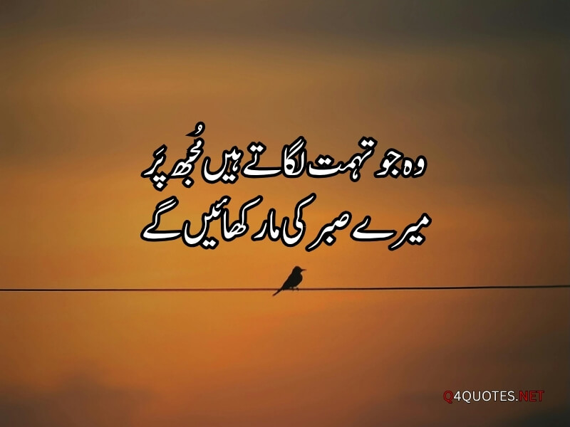 Sad Quotes In Urdu (12)