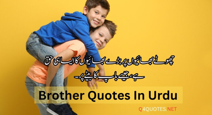 25+ Impressive Brother Quotes In Urdu