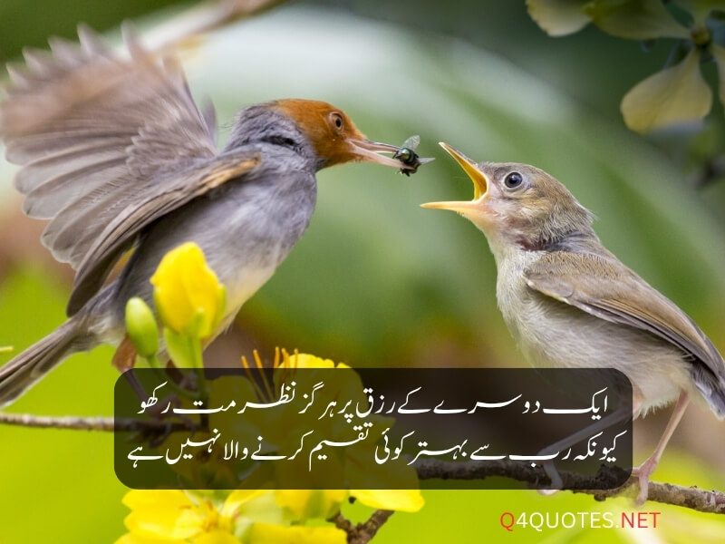 Best Islamic Quotes In Urdu