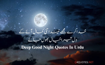 Good Night Quotes In Urdu
