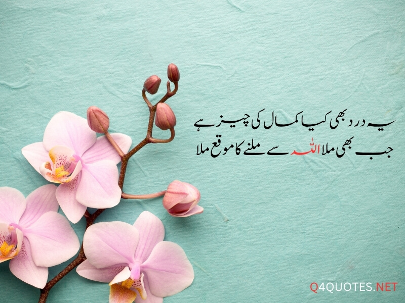 Best Islamic Quotes In Urdu 